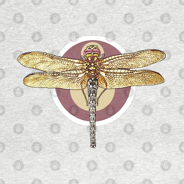 Vintage stylized dragonfly by Marccelus